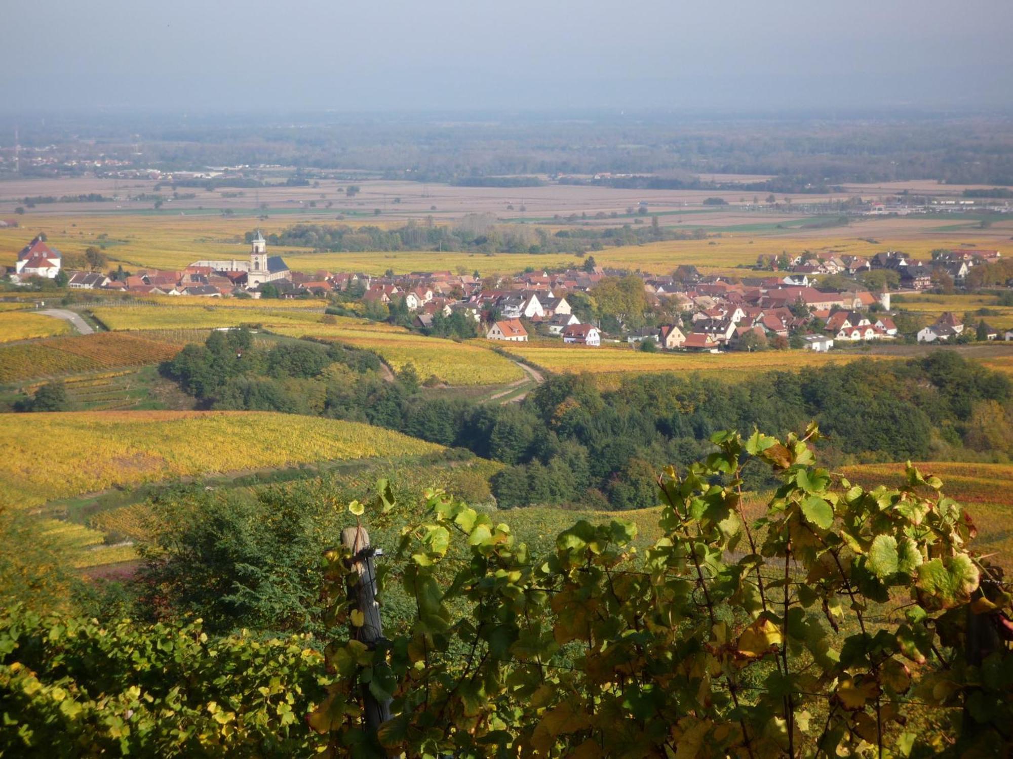 Hotel A La Vignette - Colmar-Nord Saint-Hippolyte Kültér fotó